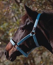 Euroriding Halfter Eco - mit Nubukleder