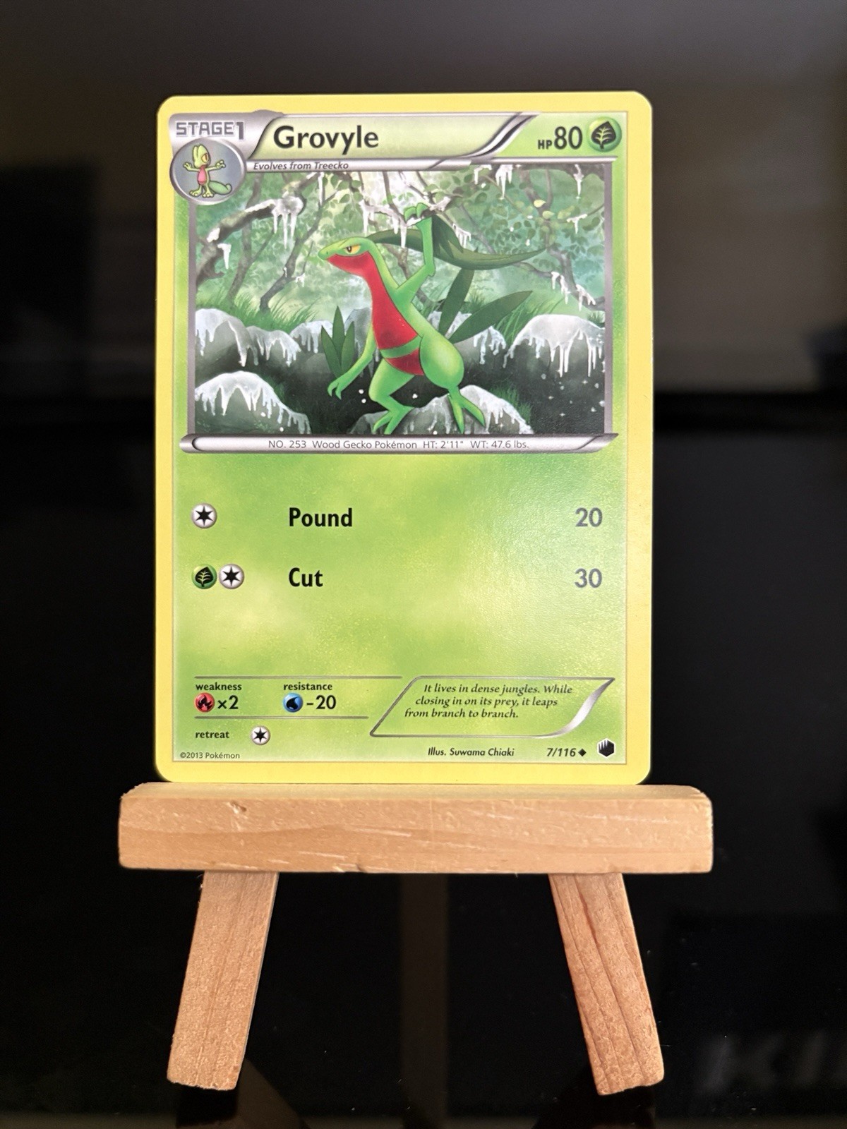 GROVYLE - 7/116 Plasma Freeze NM/LP - Regular Uncommon - Pokémon TCG Card