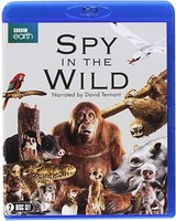 Spy In The Wild - Blu-Ray - F600Z
