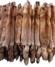 Red Fox Pelt - 44"-48" Length, Long Soft Fur, Soft Pliable Tan