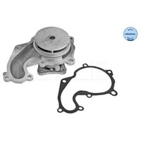 Meyle Wasserpumpe FüR Ford Focus Turnier DNW DAW DBW Tourneo Connect Da_
