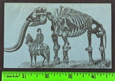 1883 Guano Fertilizer Analysis Mammoth Bones 24 Pg Advertising Booklet Baltimore