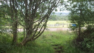 Foto 6x4 Verlässt Dounie Wood Ardvannie Ein rauer Weg verlässt den Wald f c2015