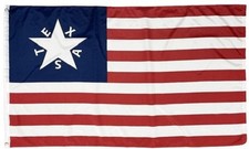 Bandiera Crockett's Alamo 3x5 - TESSUTO stampato 100D