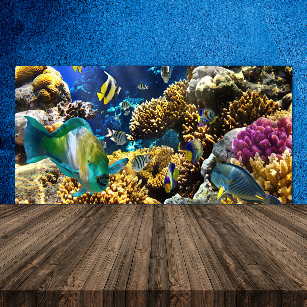 Crédence de cuisine en verre 120x60 cm motif Récif de Corail pour protection murale