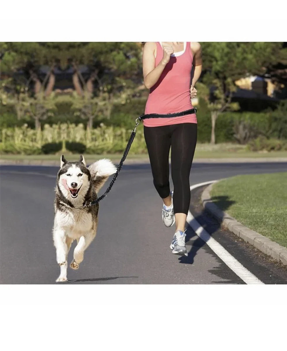Hands Free Dog Lead Perfect Dog Running Lead Or When Walking Or