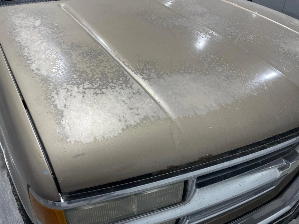 1992 - 1999 Chevy Suburban 1500 Autumnwood Metallic-55U Hood Panel Foto 3 de 4