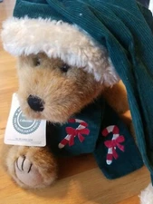 Boyds Bear BJ Bearricane 83003 12" Jointed Archive Collection Retired Plush 