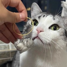 Pet Memorial Cat Hair Holder Cute Clear Cat Shape Keychain for Memory Preserva