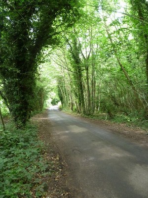 Foto A3 Warren Straße durch Frith Wood Kit's Coty Warren Straße läuft Para c2012