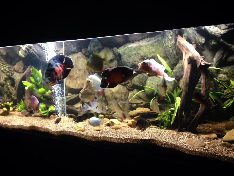 Foto 9 di 19