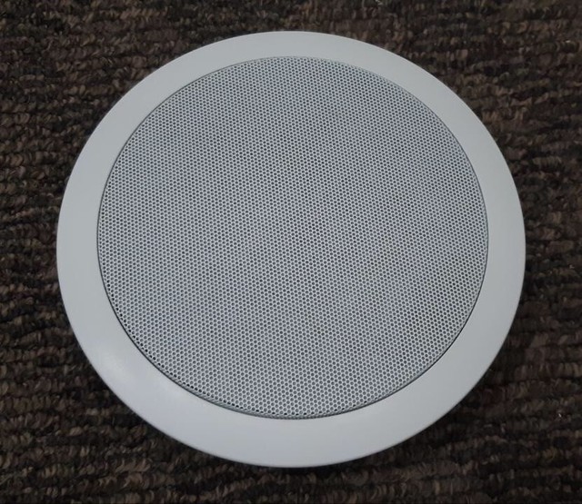 Sony Sposato Cws Ici50t Ceiling Speakers For Sale Online Ebay