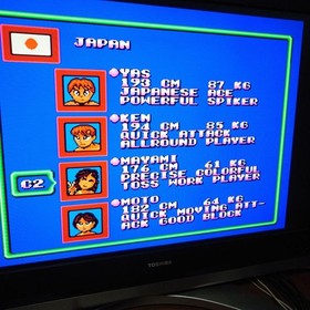 World Beach Volleyball PC Engine #012826