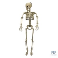 Com-Four® 60Cm Deko Skelett FüR Halloween - Xl-Skelett Aus Kunststoff Zum AufhäN