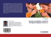Genetic Variability In African Marigold (Tagetes Erecta L.) Amit Kumar Singh