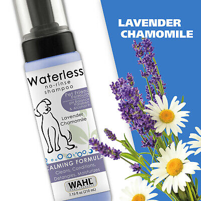 chamomile waterless