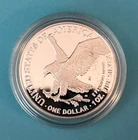 2021-W 1 oz Proof American Silver Eagle Proof Coin (w/original box and COA)