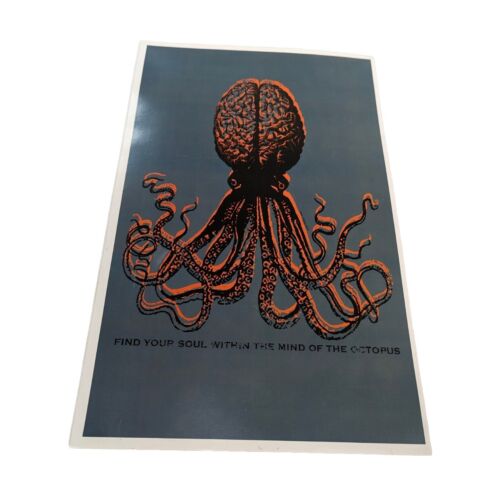 "Octopus Mind" Wall Art Print Kraken Urban Octopus 2010 11" X 17"