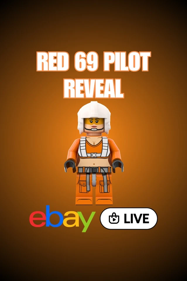 Red 69 Pilot Reveal - Individuell bedruckte Minifiguren & Teile🥕🔥