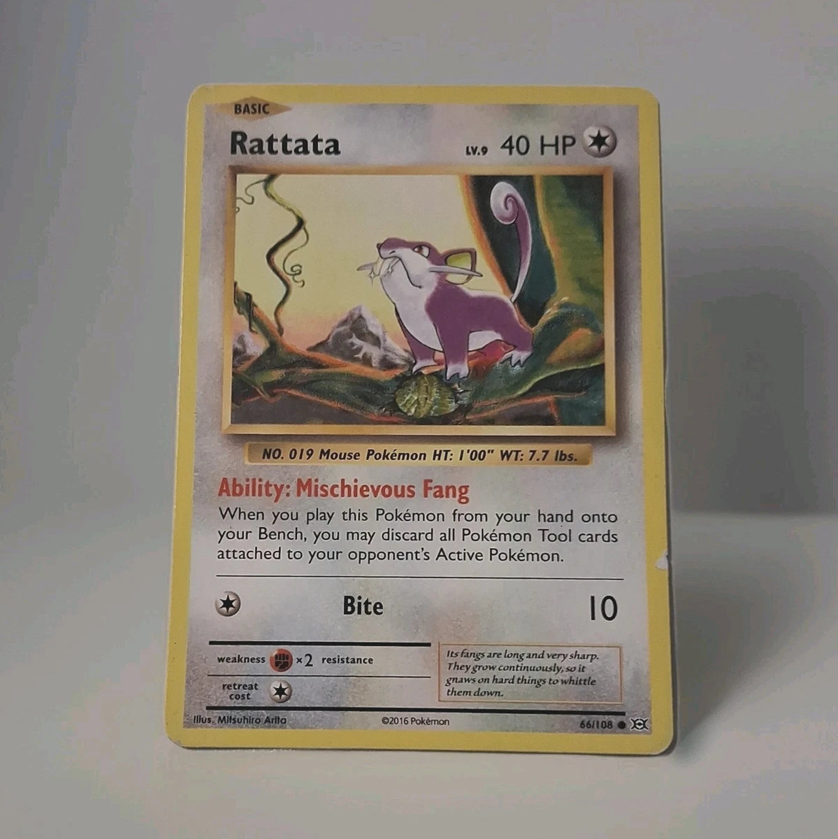 rattata pokemon card price Alolan Rattata 81/147 Common main image 0