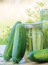 Fresh Pickles Cucumber: 20 Seeds