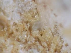 ILMAJOKITE from Kola, Russia * ONE LOCALITY SPECIES * 1,9 cm