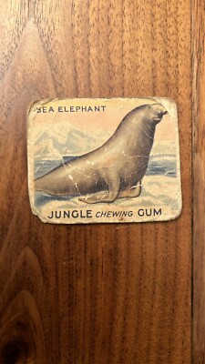 Jungle Chewing Gum card #61 Sea Elephant, World Wide Gum Company