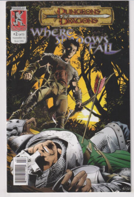 DUNGEONS AND DRAGONS WHERE SHADOWS FALL #2 (KENZER 2003)
