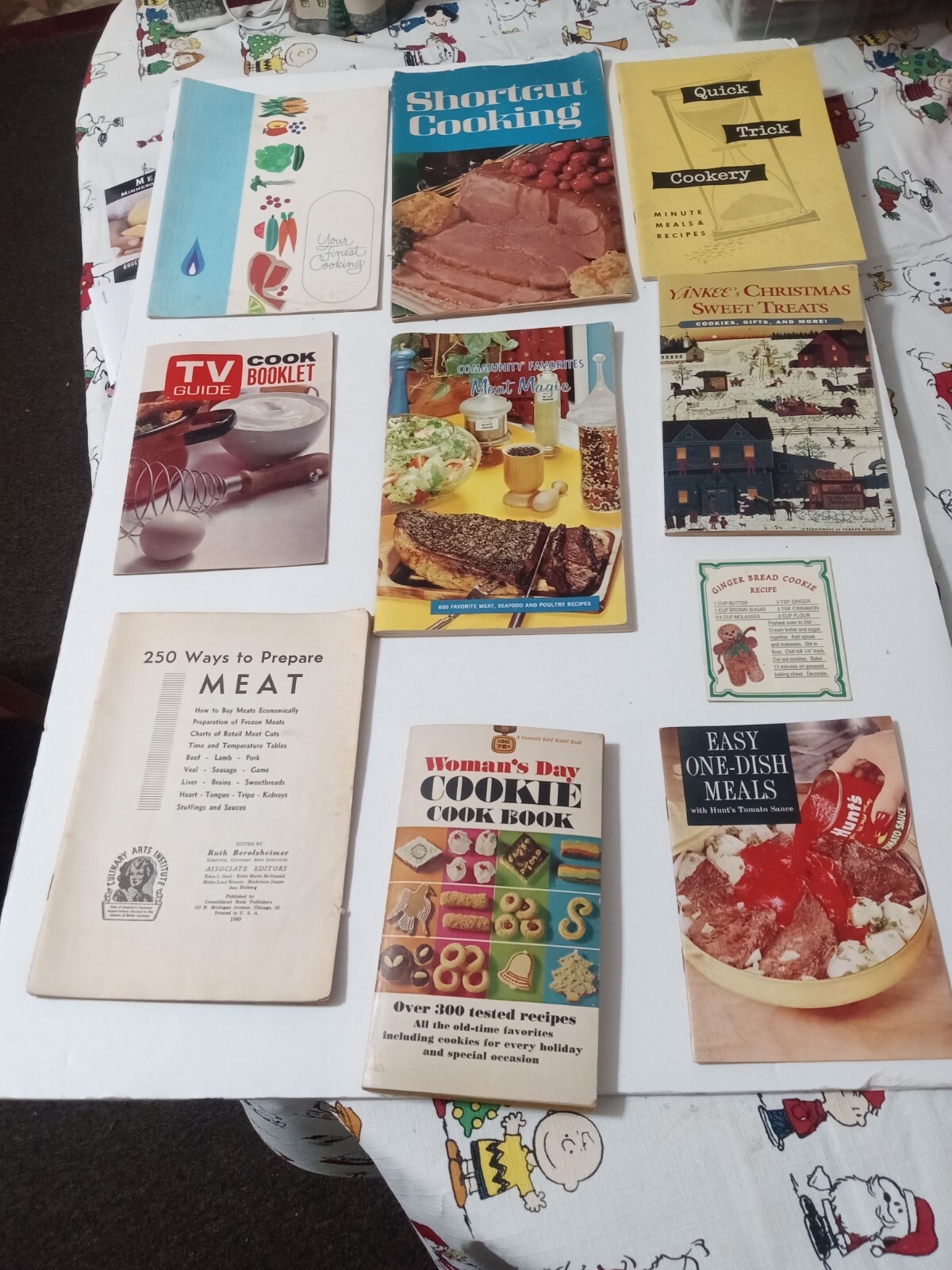 Big Lot of Various Vintage Recipe Books & Recipe Cards & Dog Recipe
