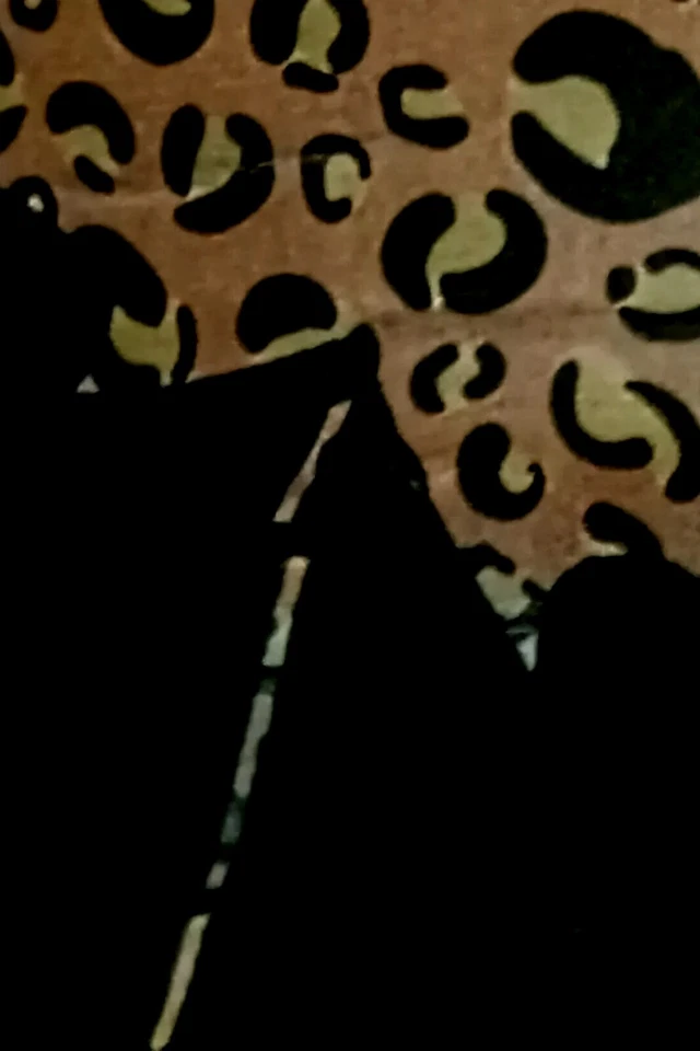 Gorro Ajustable Bebé/Niños Otoño Invierno Slouch con Hoja Estampado de Guepardo 6m-5 años Foto 4 de 4