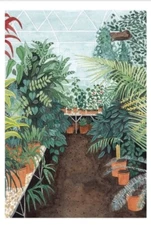 Original Botanical Floral Nature House Plant Greenhouse Study Print A4 