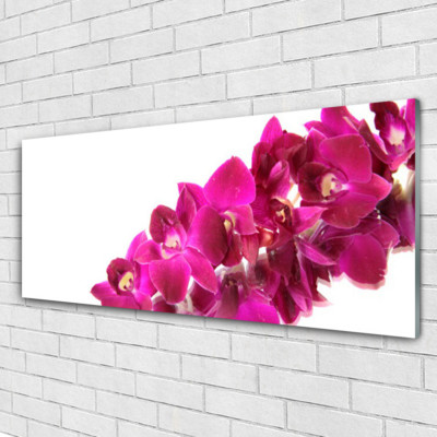 Impression sur verre Image tableaux 125x50 Floral Rose