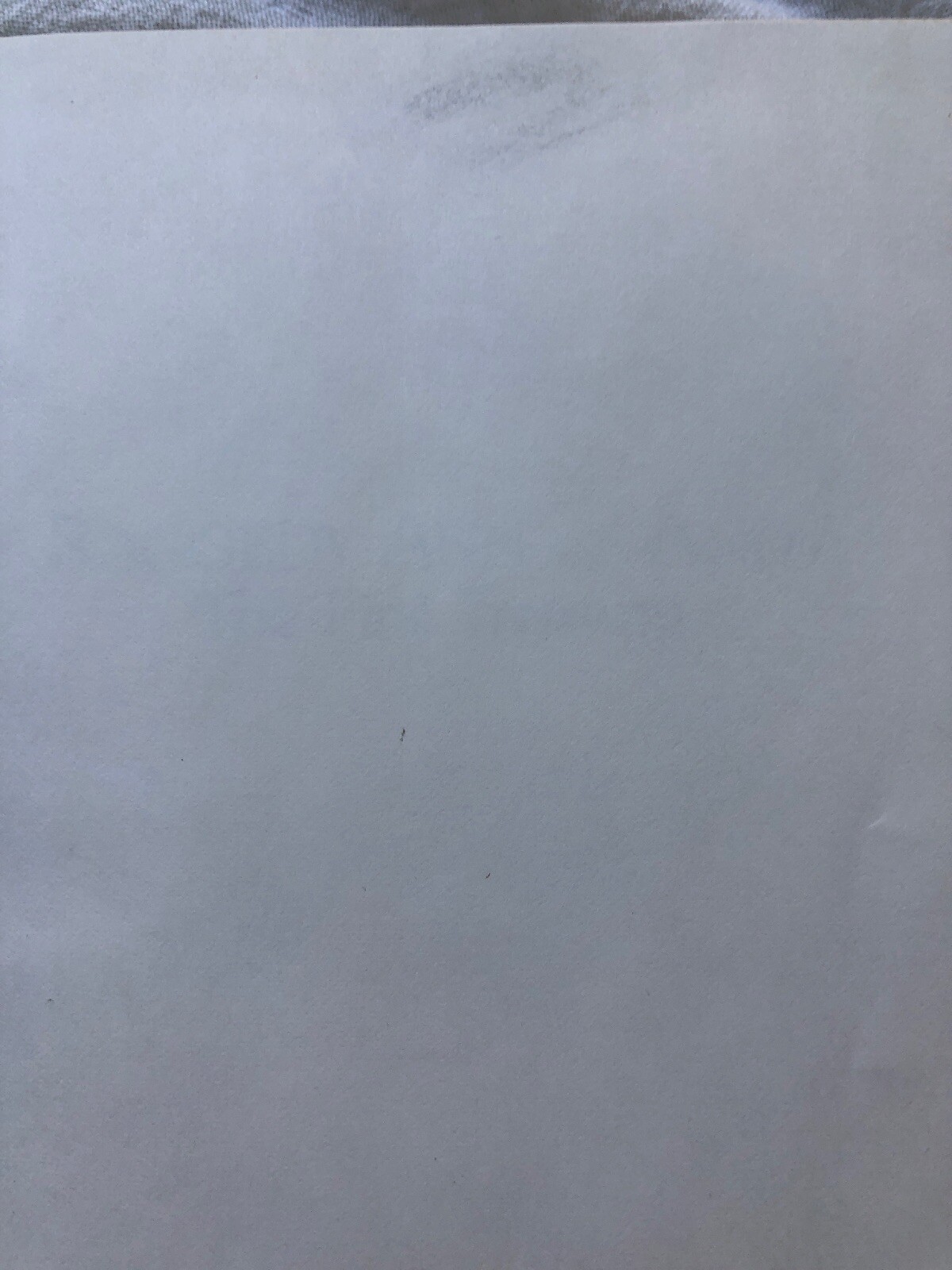 Picture 5 of 11