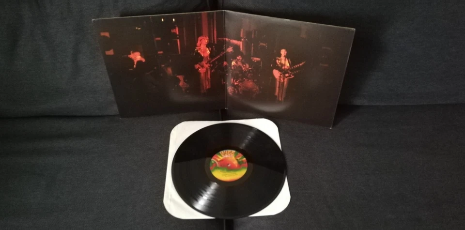 LP I CUGINI DI CAMPAGNA Tu Sei Tu vinile 1a stampa originale 77 1st press EX++ - Immagine 2 di 3