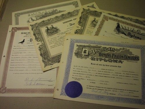 HOMING PIGEONS race certificates, 1956-64; racing birds; HANOVER Pa.; Penn-Mar