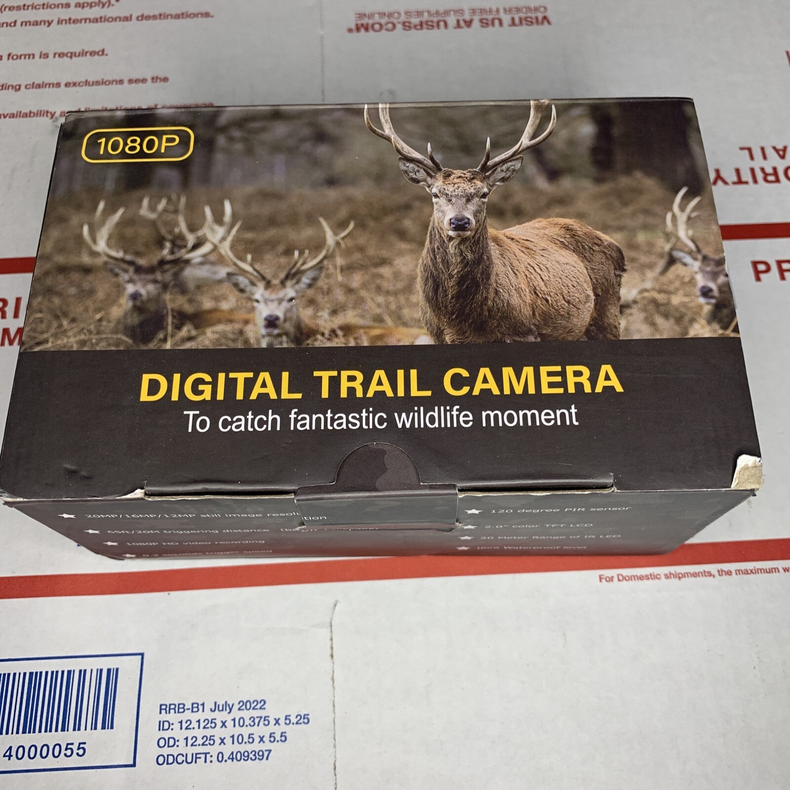 New Vanbar D300 Digital Trail Camera eBay