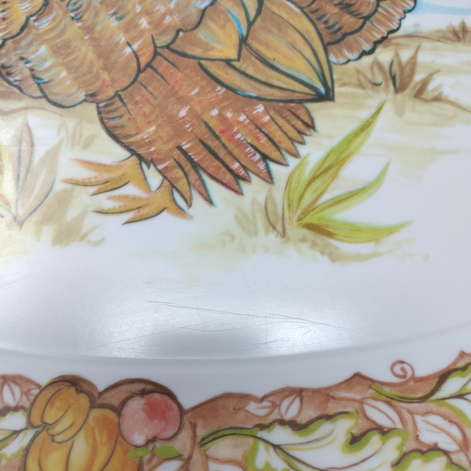 Picture 10 of 12