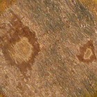 Foto 21 di 21