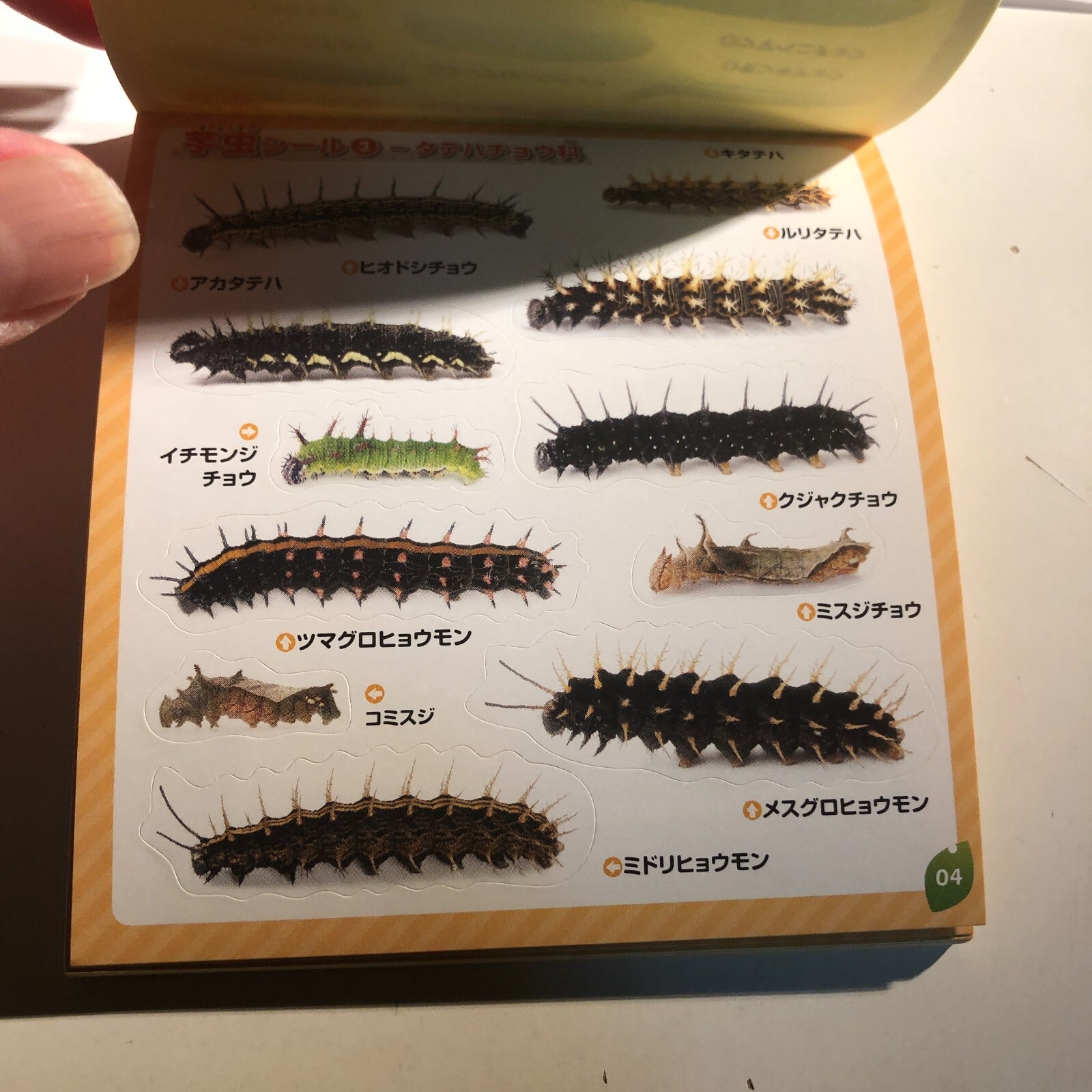Picture 6 of 23