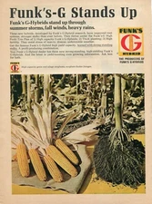 1968 Print Ad of Funk's G Hybrid Corn Seed