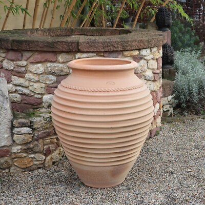 handgefertigte Terracotta Amphore aus Kreta, frostfeste Amphore Ficus 70