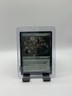 MTG, Raucous Audience $3 ORDER MIN Avatar: The Last Airbender Regular