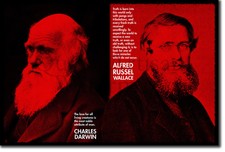 Charles Darwin Poster 24inx36in