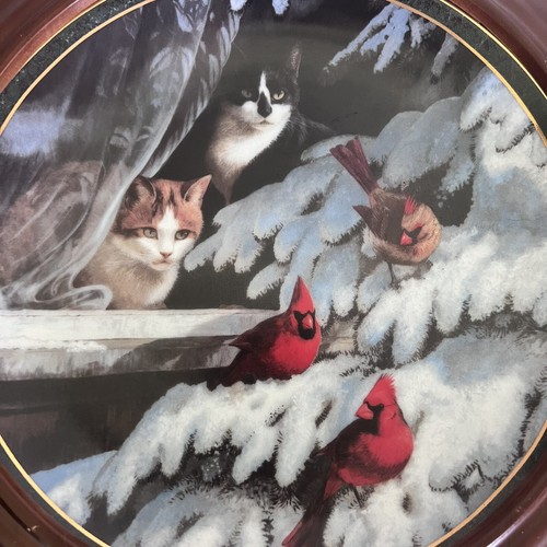VOGELBEOBACHTER Wildvogelplatte Persis Wehre Wildflügel neugierige Nachbarn Katze #2228A - Bild 3 von 7