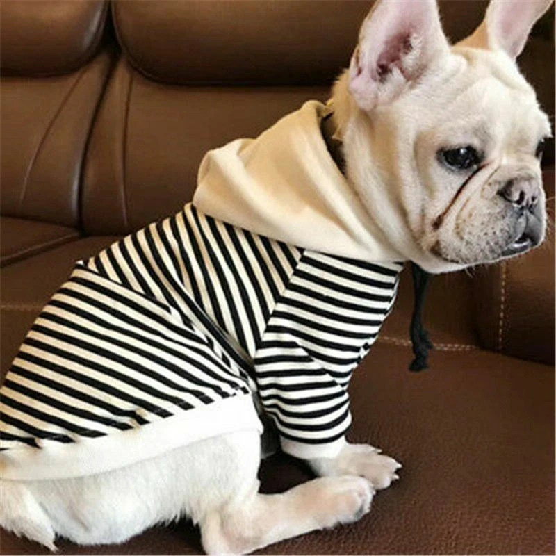 French bulldog store apparel