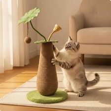 الأثاث Cat Scratching