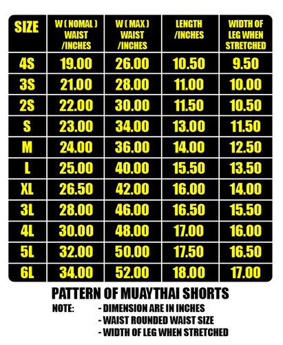 Muay Thai KickBoxing Short Mots Broderie Costume Design MMA K1 UFC Gym Sport - Photo 2/2