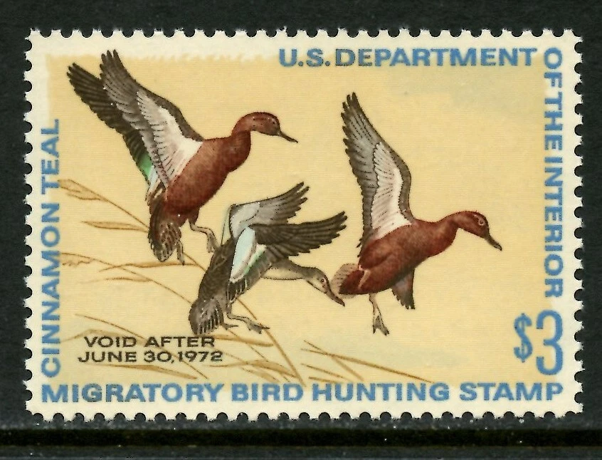 US RW38, 1971 CINNAMON TEALS, WITH 2005 PSE CERTIFICATE, XF 90, (US897K) - Image 2 of 3