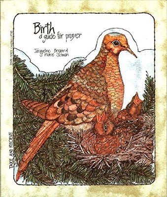 BIRTH: A GUIDE FOR PRAYER (TAKE AND RECEIVE SERIES) By Jacqueline Bergan **NEW**