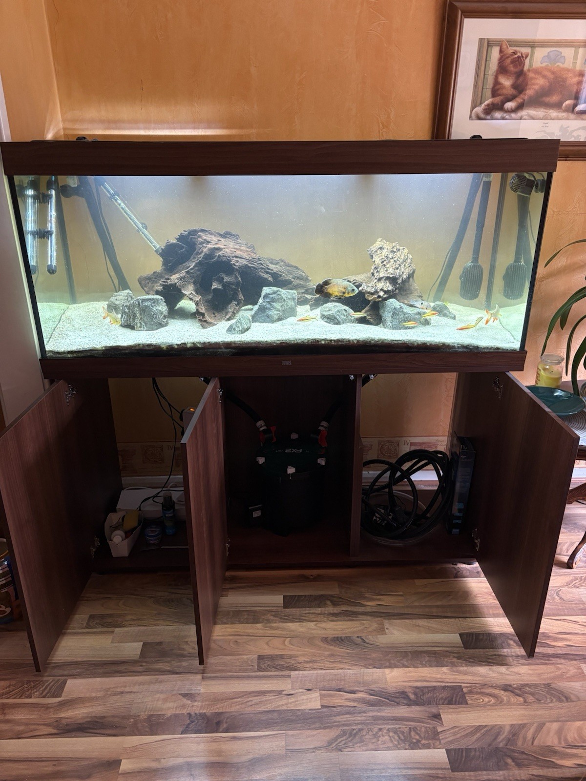 Picture 3 of 8